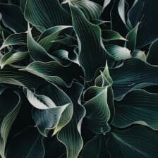 social-feed-img-02